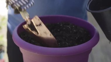 İlkbaharın sonlarında saksılara çiçek ekiyorum..