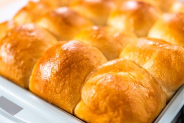 Fırında yeni pişmiş börekler..