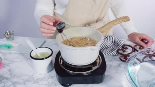 Karameliserende Suiker Steelpan Zelfgemaakte Lolly Maken — Stockvideo