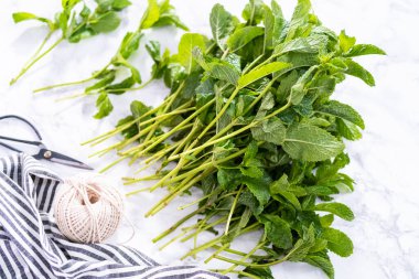 Mermer bir arka planda organik bahçeden taze nane..