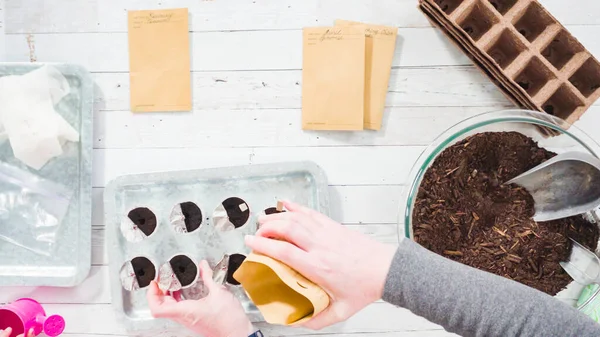 Pose Plate Plantation Graines Dans Petits Contenants Pour Démarrer Jardin — Photo