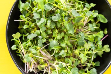 Düz yatıyordu. Bir kasede taze toplanmış turp mikroçerezleri..