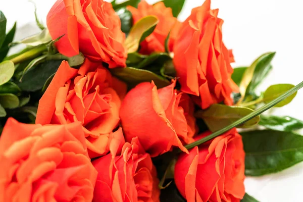 Close View Bouquet Red White Background — Stock Photo, Image