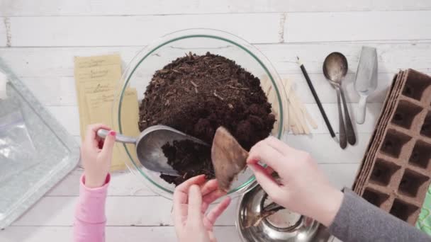 Kleines Mädchen Hilft Beim Pflanzen Von Kräutersamen Kleine Gefäße Für — Stockvideo