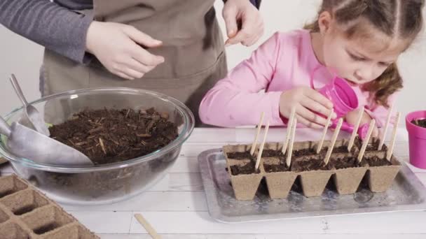 Niña Ayudando Plantar Semillas Hierbas Recipientes Pequeños Para Proyecto Escuela — Vídeo de stock