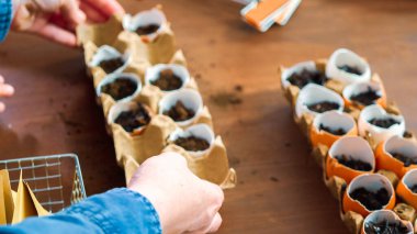 Anne ve kızı Bahar dikim için yumurta kabukları tohum başlangıç.