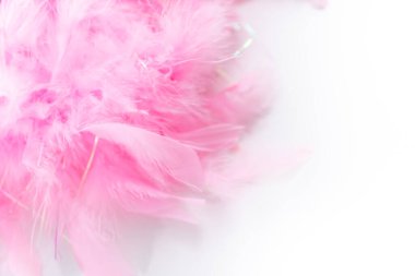 Pembe tüyler beyaz bir nackground 'da.