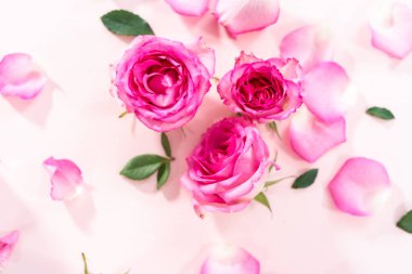 Düz yatıyordu. Pembe güller ve pembe arka planda gül yaprakları.