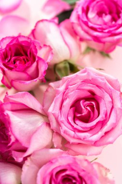 Düz yatıyordu. Pembe güller ve pembe arka planda gül yaprakları.