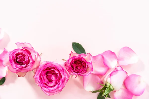 Flat Lay Pink Roses Rose Petals Pink Background — Stock Photo, Image