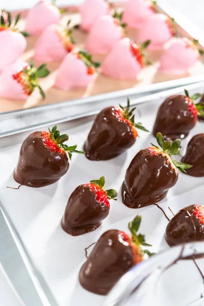 Preparing Chocolate Covered Strawberries Cookie Tray — Stock Photo, Image