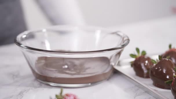 一步一步 将有机草莓浸入融化的牛奶巧克力中 — 图库视频影像