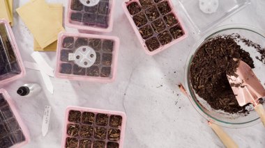 Düz yatıyordu. Tohum yayıcıya toprak ekiyorum..