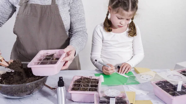 Bambina Che Aiuta Piantare Semi Nel Propagatore Semi Con Terreno — Foto Stock