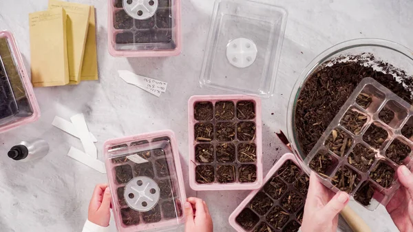 Επίπεδη Κοριτσάκι Που Βοηθά Στη Φύτευση Σπόρων Πολλαπλασιαστή Σπόρων Χώμα — Φωτογραφία Αρχείου