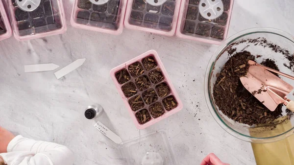 Flach Lag Kleines Mädchen Hilft Beim Pflanzen Von Samen Saatgutvermehrer — Stockfoto