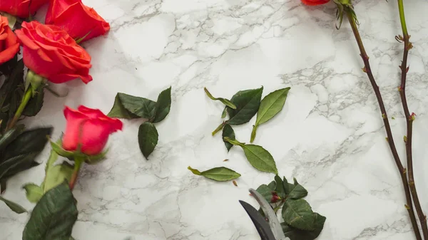 Düz yatıyordu. Çiçek aranjmanı için kırmızı güller açan bir çiçekçi..