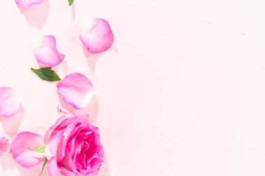 Düz yatıyordu. Pembe güller ve pembe arka planda gül yaprakları.