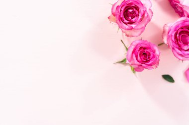 Düz yatıyordu. Pembe güller ve pembe arka planda gül yaprakları.
