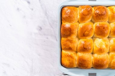 Fırında yeni pişmiş börekler..