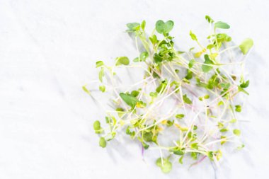 Düz yatıyordu. Bir kasede taze toplanmış turp mikroçerezleri..