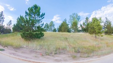 Bir yaz sabahı tipik bir banliyö mahallesi manzarası.