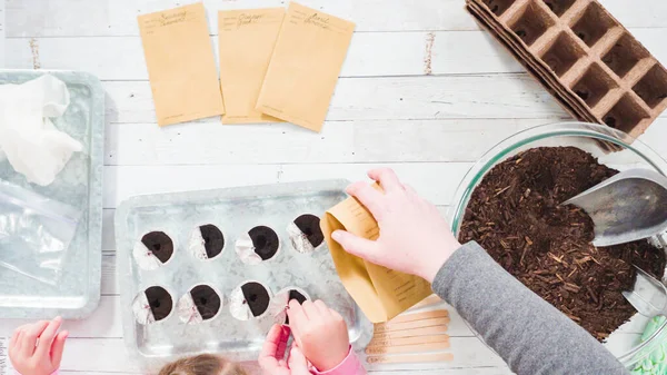 Piatto Bambina Che Aiuta Piantare Semi Erbe Piccoli Contenitori Progetto — Foto Stock