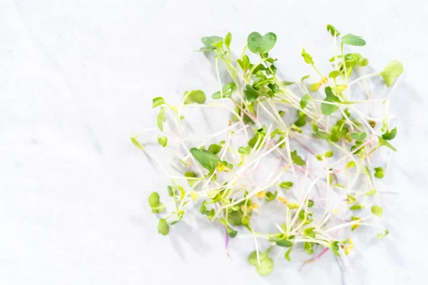 Flat Lay Freshly Harvested Radish Microgreens Bowl — Stock Photo, Image