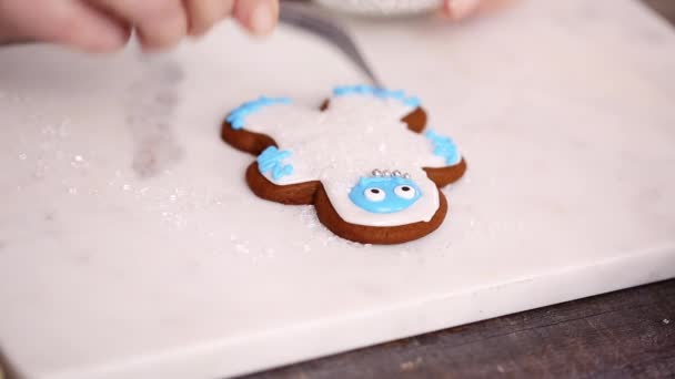 Step Step Decorating Gingerbread Sugar Cookies Royal Icing Christmas — Stock Video