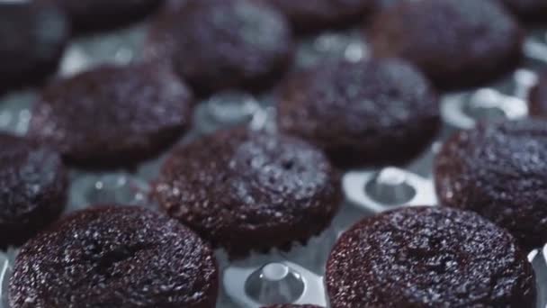 Čokoládové Mini Cupcakes Italským Máslovým Polevou Zdobené Třpytivé Čokoládové Vločky — Stock video