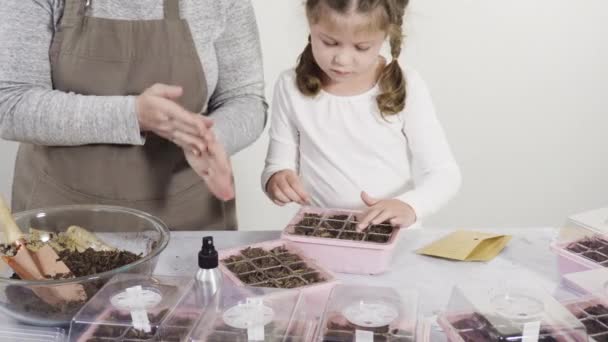 Niña Ayudando Plantar Semillas Propagador Semillas Con Tierra — Vídeos de Stock