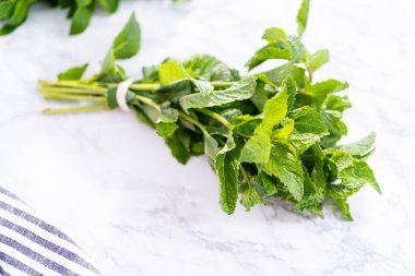 Mermer bir arka planda organik bahçeden taze nane..