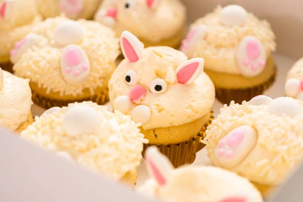 Osterhasen Cupcakes Einer Weißen Cupcake Box — Stockfoto