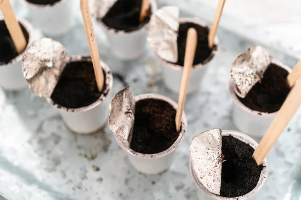 Planting seeds into coffee pods to start an indoor vegetable garden.