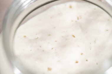 Ekşi mayalı ekmek pişirmek için cam bir mason kavanozunda başlangıç yapıyorum..
