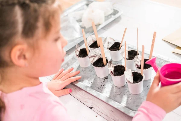 Bambina Piantare Semi Cialde Caffè Avviare Orto Coperto — Foto Stock