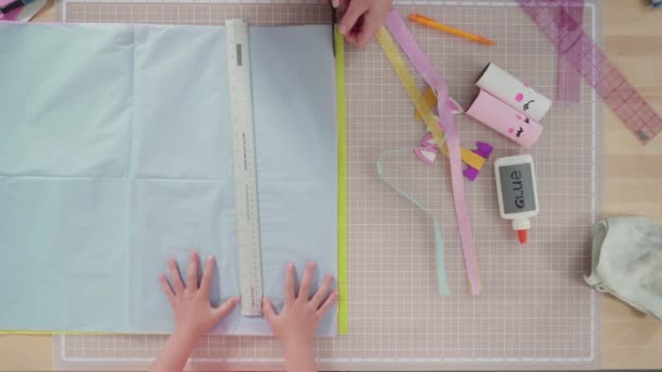 Flach Lag Schritt Für Schritt Aus Papier Und Leeren Toilettenpapierrollen — Stockvideo