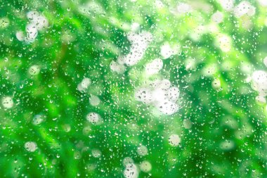 Yeşil yaprakların arkaplanındaki bir pencere camına düşen tatlı su damlalarının yakın çekimi. Bulanık arkaplan