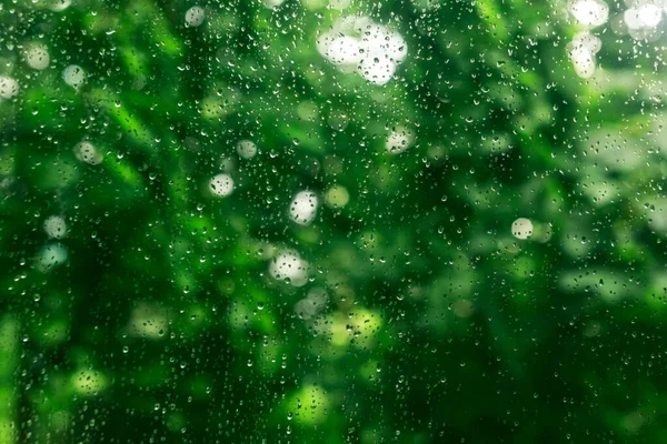 Friss Vízcseppek Közelsége Egy Ablaküvegen Zöld Levelek Hátterében Homályos Háttér — Stock Fotó