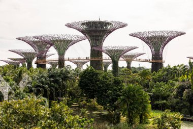 Singapur - Aralık 2018: hava görünümünü Botanik Bahçesi bahçeleri Singapur Bay tarafından.