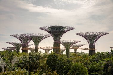 Singapur - Aralık 2018: hava görünümünü Botanik Bahçesi bahçeleri Singapur Bay tarafından.