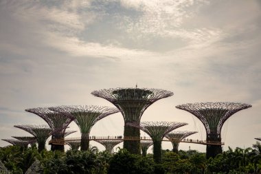 Singapur - Aralık 2018: hava görünümünü Botanik Bahçesi bahçeleri Singapur Bay tarafından.