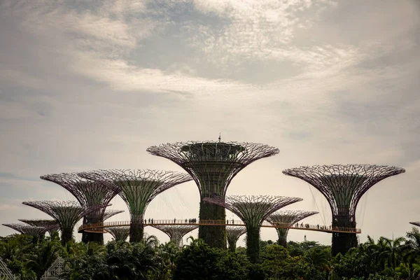 Singapur - Aralık 2018: hava görünümünü Botanik Bahçesi bahçeleri Singapur Bay tarafından.
