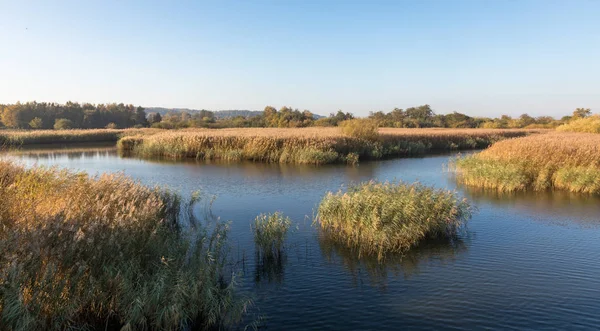 Hermoso río Gudenaa en Randers, Dinamarca. Agua tranquila, cielo azul . —  Fotos de Stock