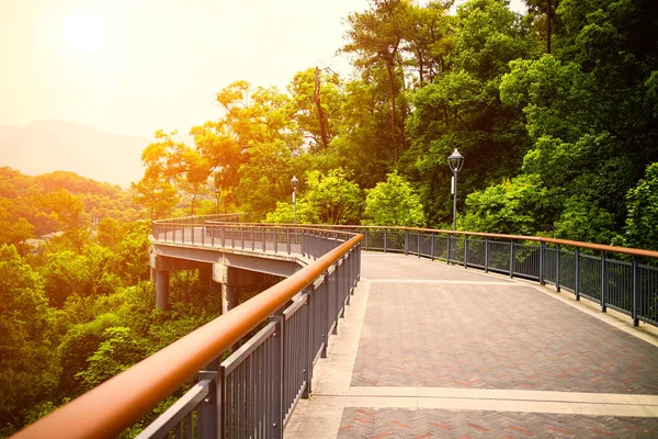 Ponte Pedonal Parque Cidade — Fotografia de Stock