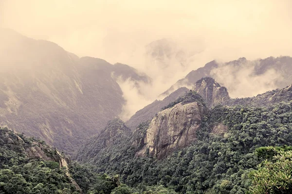 Bergige Waldlandschaft China — Stockfoto