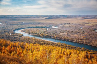 Kuzey Çin'de Güz Ergun sulak, eski kök ri olarak bilinen