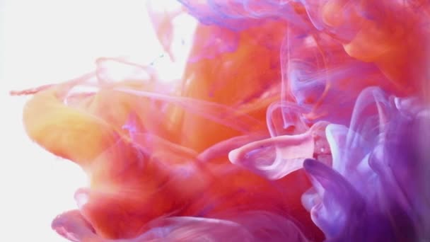 Abstract Ink colours flowing in water. Purple, yellow and orange Ink colours. — Stock Video