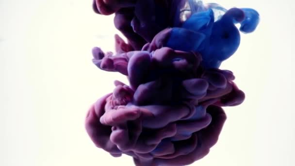 紫色墨水在水中 — 图库视频影像