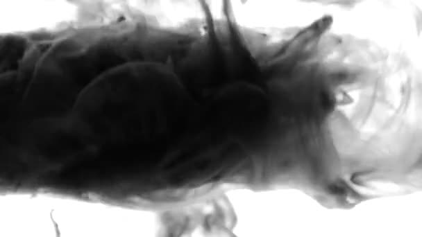 Μαύρη μελάνη καπνού μετάβαση - μετάβαση κινούμενα σχέδια που μοιάζουν με μελάνι ή καπνού. Μαύρο και άσπρο αφαίρεσης με τη μορφή του καπνού — Αρχείο Βίντεο